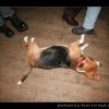 20080125_194